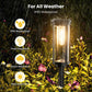 ✨Luces solares para caminos al aire libre