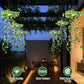 ☀️ 50% DESCUENTO – Luces Solares de Hiedra con Hojas Artificiales – Resistente al Agua, 8 Modos de Iluminación y Flexibles – Perfectas para Jardines, Balcones y Decoración de Paredes 🌿💡✨
