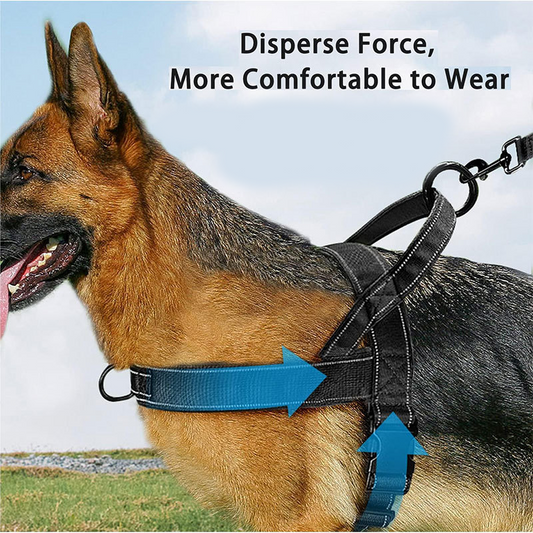 🥳¡OFERTA CALIENTE 2026!🥳🐕💪 ¡50% DE DESCUENTO! Arnés táctico resistente para perros – Sin tirones, sin ahogo. 🛡️✨