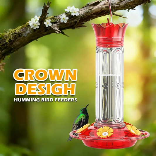 Alimentador colgante de colibrí con mofo de hormiga