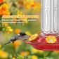 Alimentador colgante de colibrí con mofo de hormiga