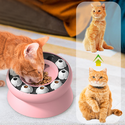 Dispensador rotativo de alimentos y juego de cerebro para gatos