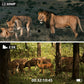 Binoculares digitales de visión nocturna con grabación de fotos y vídeos HD