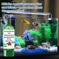 Potente Comprimida de Purificación de Agua para Acuario