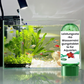 Potente Comprimida de Purificación de Agua para Acuario