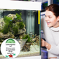 Potente Comprimida de Purificación de Agua para Acuario