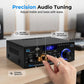 Amplificador digital para karaoke y música