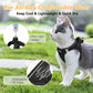 Conjunto de arnés de malla reflectante y correa para gatos y perros pequeños